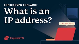Địa chỉ IP là gì?