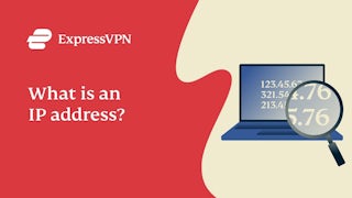 What is an IP address? IP addresses and privacy explained